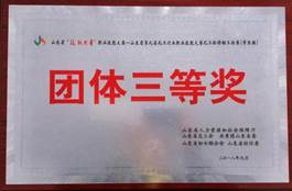 說(shuō)明: 山東省技能興魯職業(yè)技能大賽團(tuán)體三等獎(jiǎng)