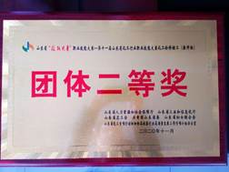 說(shuō)明: 教師組團(tuán)體二等獎(jiǎng)