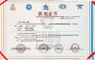 一帶一路綠色化工安全技術(shù)-王婧王浩琦丁瑞奇